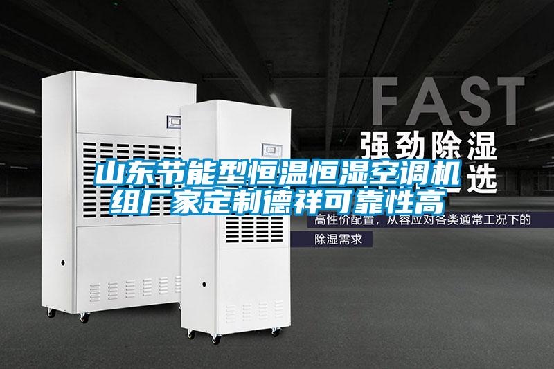 山东节能型恒温恒湿空调机组厂家定制德祥可靠性高