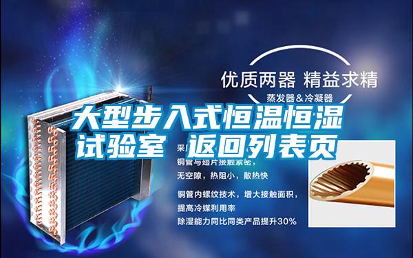 大型步入式恒温恒湿试验室 返回列表页