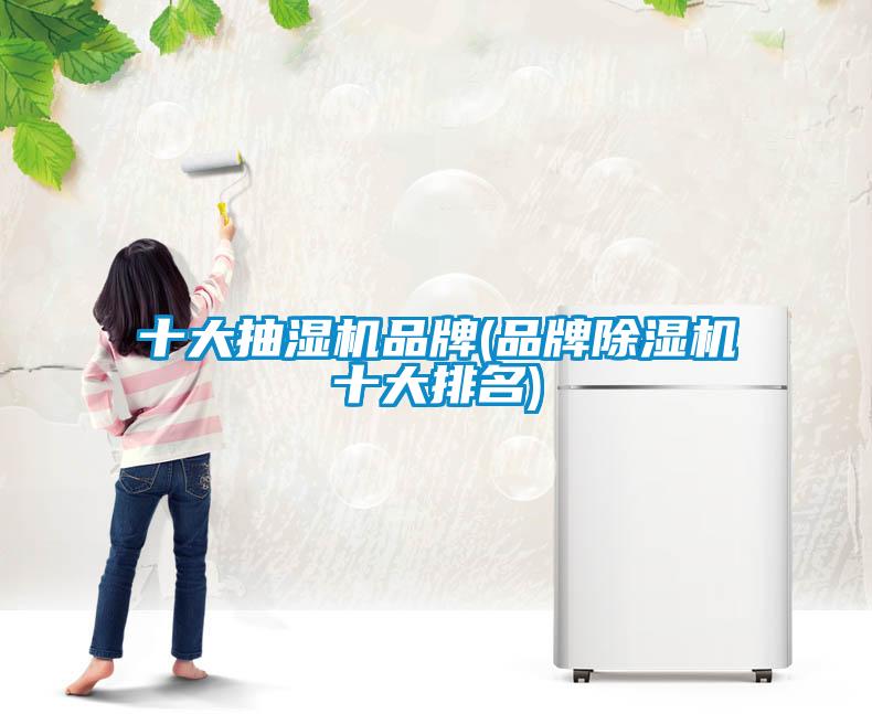 十大抽湿机品牌(品牌除湿机十大排名)