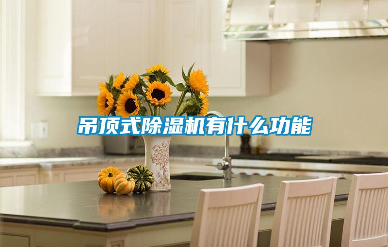 吊顶式除湿机有什么功能