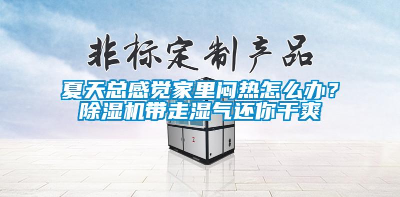 夏天总感觉家里闷热怎么办？除湿机带走湿气还你干爽