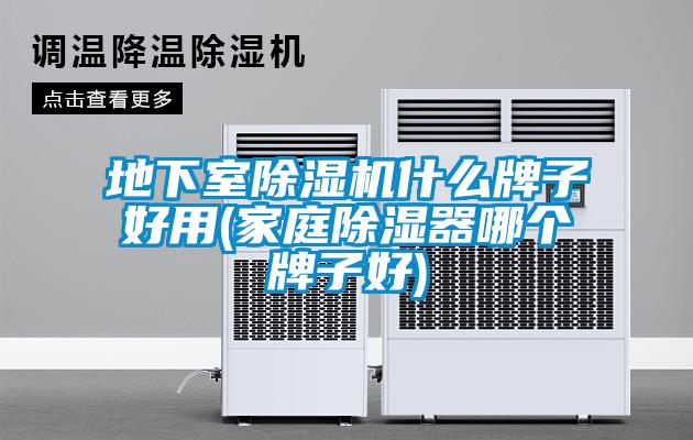 地下室除湿机什么牌子好用(家庭除湿器哪个牌子好)