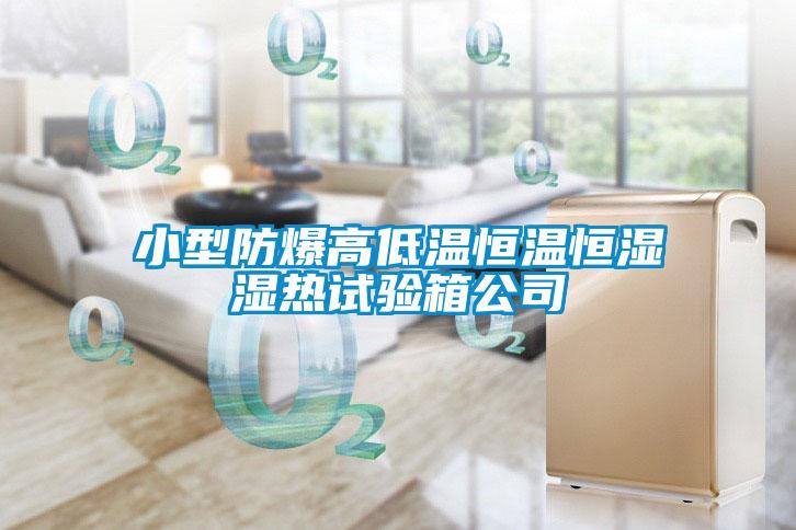 小型防爆高低温恒温恒湿湿热试验箱公司