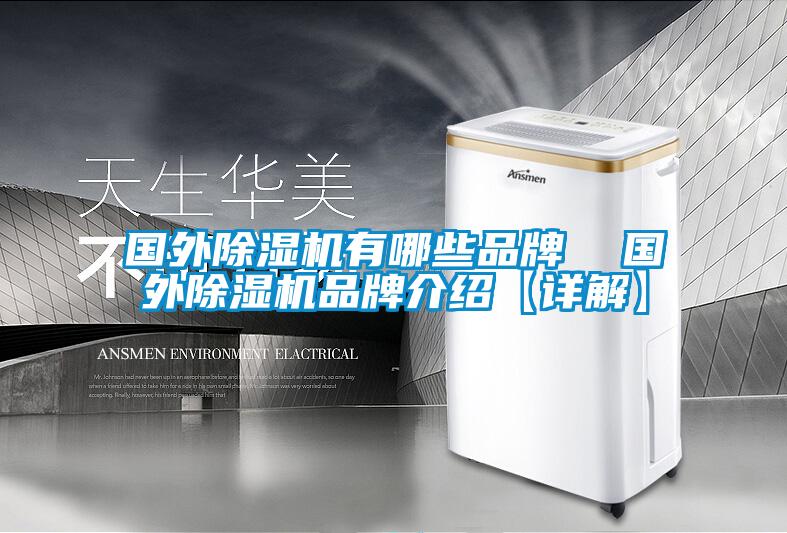 国外除湿机有哪些品牌  国外除湿机品牌介绍【详解】