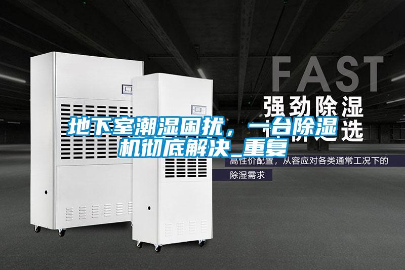 地下室潮湿困扰，一台除湿机彻底解决_重复