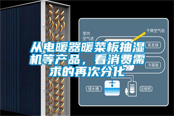 从电暖器暖菜板抽湿机等产品，看消费需求的再次分化