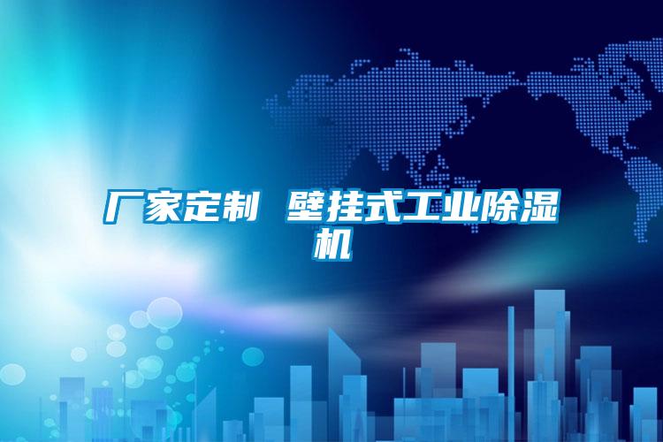 厂家定制 壁挂式工业除湿机