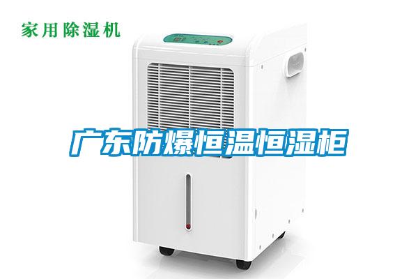 广东防爆恒温恒湿柜