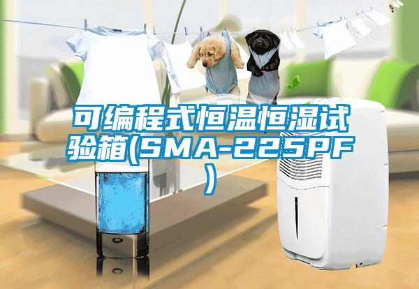 可编程式恒温恒湿试验箱(SMA-225PF)