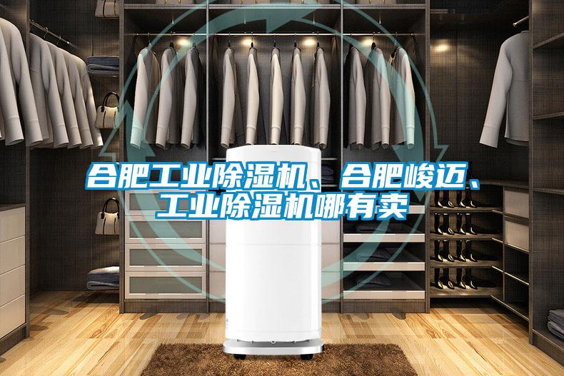 合肥工业除湿机、合肥峻迈、工业除湿机哪有卖