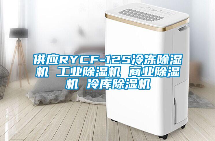 供应RYCF-12S冷冻除湿机 工业除湿机 商业除湿机 冷库除湿机