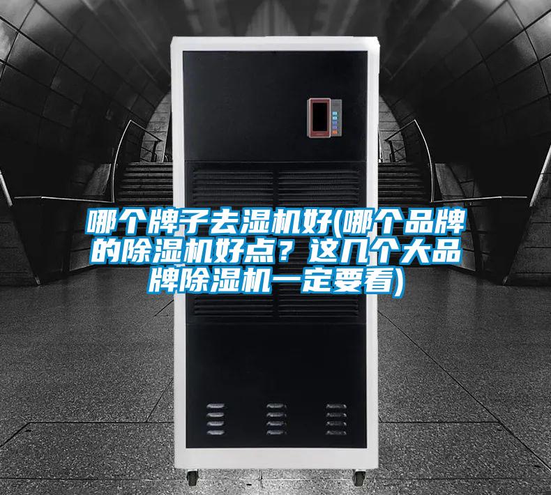 哪个牌子去湿机好(哪个品牌的除湿机好点？这几个大品牌除湿机一定要看)