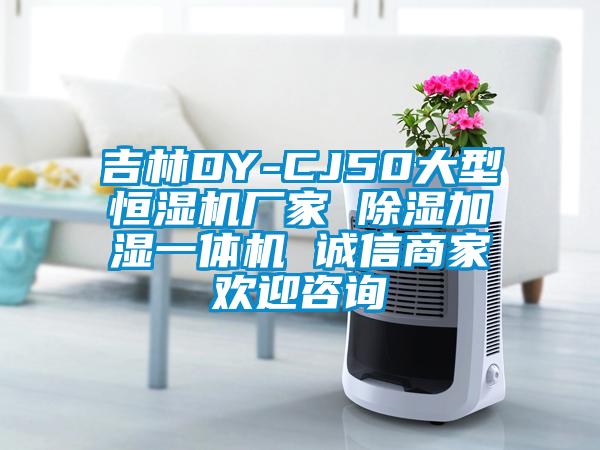 吉林DY-CJ50大型恒湿机厂家 除湿加湿一体机 诚信商家欢迎咨询