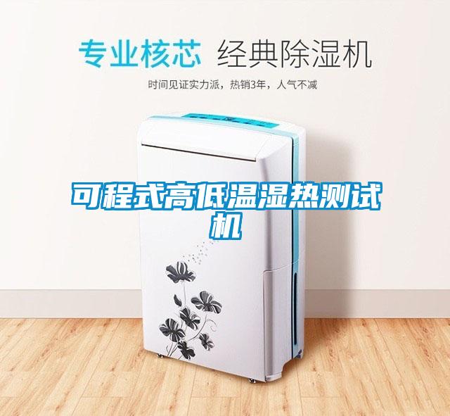 可程式高低温湿热测试机