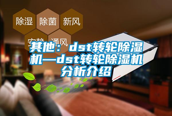 其他：dst转轮除湿机—dst转轮除湿机分析介绍