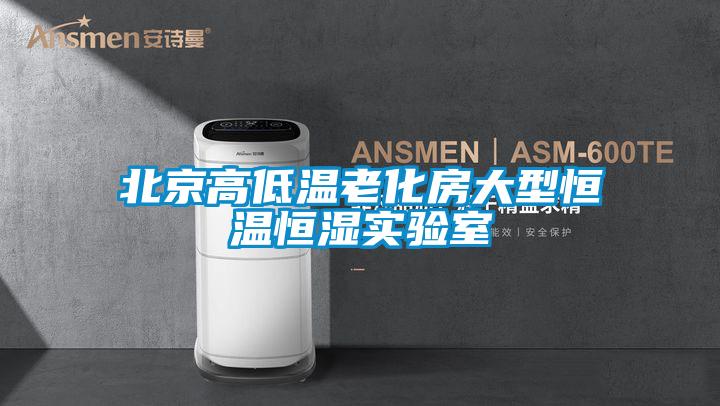 北京高低温老化房大型恒温恒湿实验室