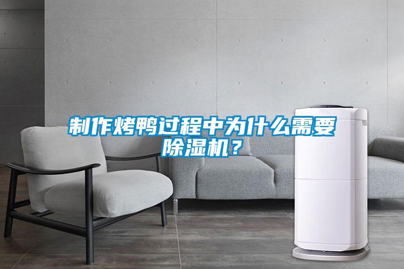 制作烤鸭过程中为什么需要除湿机？