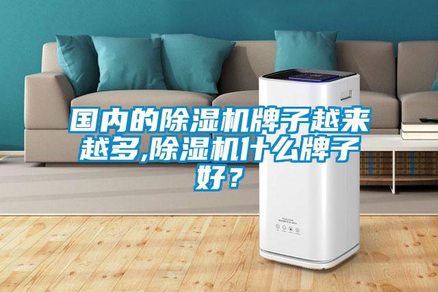 国内的除湿机牌子越来越多,除湿机什么牌子好？
