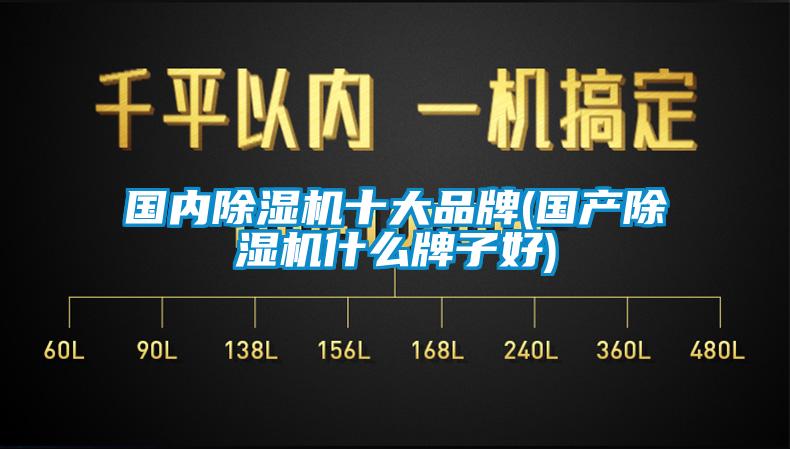 国内除湿机十大品牌(国产除湿机什么牌子好)