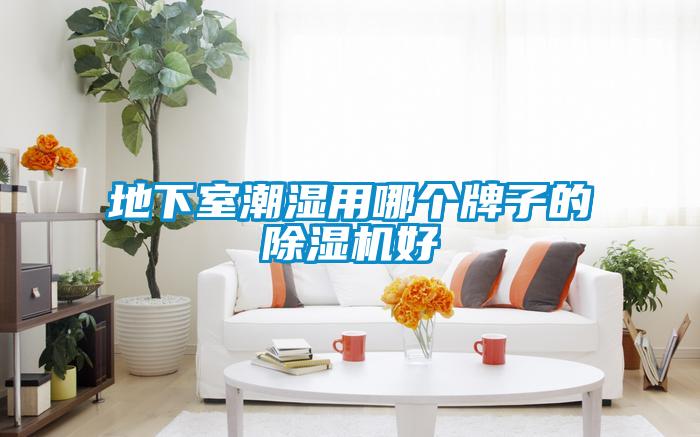 地下室潮湿用哪个牌子的除湿机好