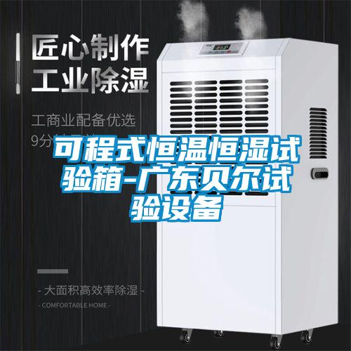 可程式恒温恒湿试验箱-广东贝尔试验设备