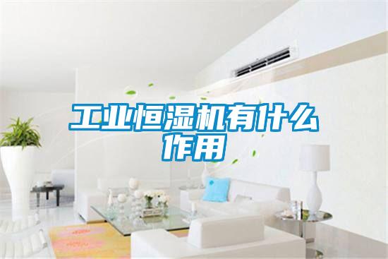 工业恒湿机有什么作用