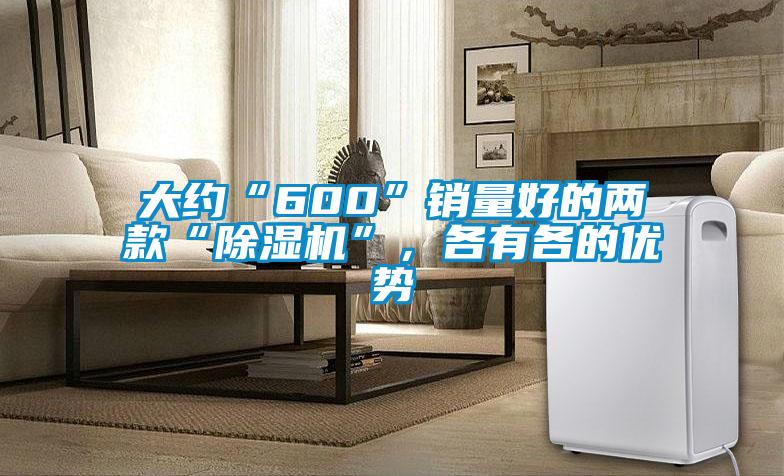 大约“600”销量好的两款“除湿机”，各有各的优势