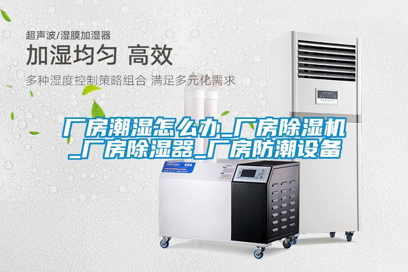 厂房潮湿怎么办_厂房除湿机_厂房除湿器_厂房防潮设备