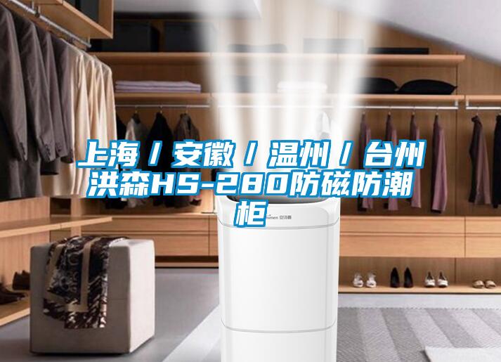 上海／安徽／温州／台州洪森HS-280防磁防潮柜
