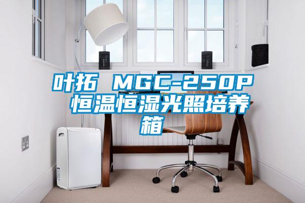 叶拓 MGC-250P 恒温恒湿光照培养箱