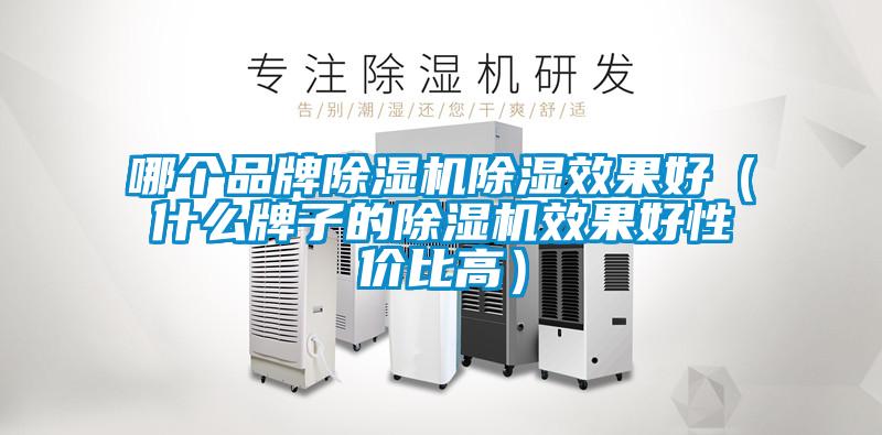 哪个品牌除湿机除湿效果好（什么牌子的除湿机效果好性价比高）