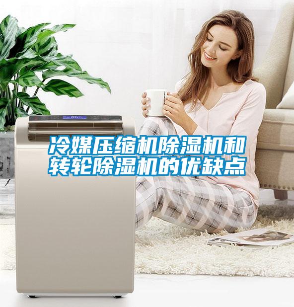 冷媒压缩机除湿机和转轮除湿机的优缺点