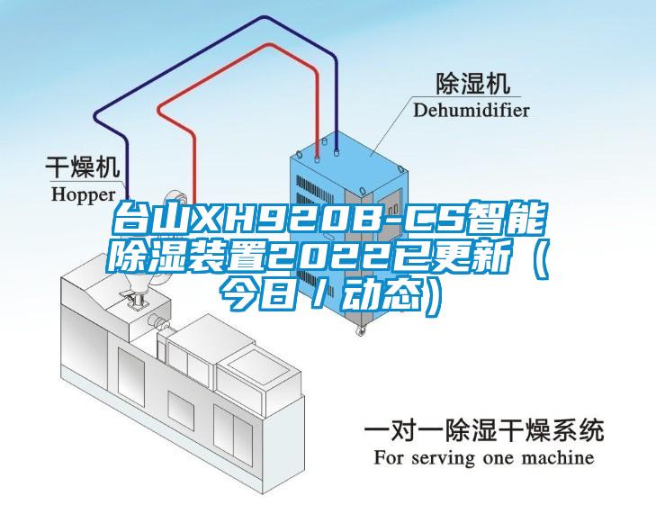 台山XH920B-CS智能除湿装置2022已更新（今日／动态）