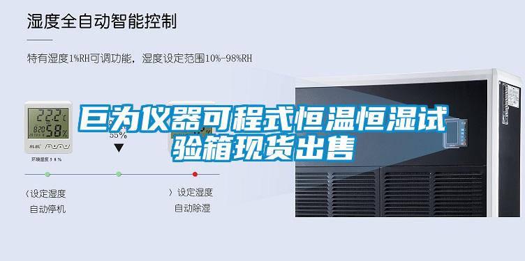 巨为仪器可程式恒温恒湿试验箱现货出售