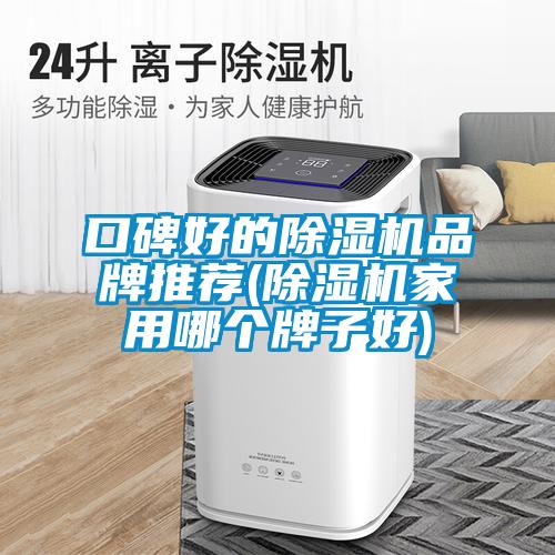 口碑好的除湿机品牌推荐(除湿机家用哪个牌子好)