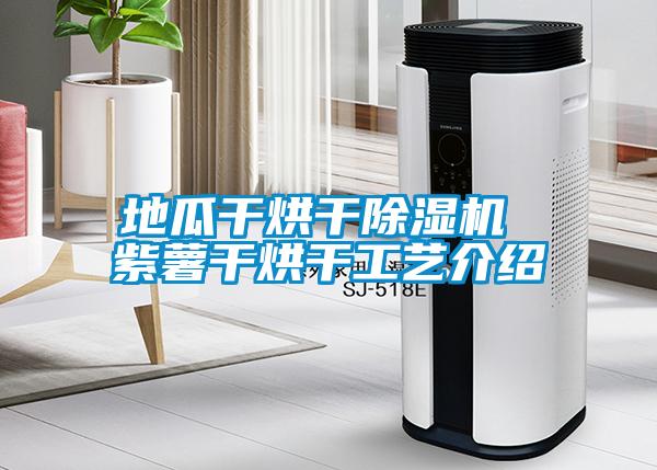 地瓜干烘干除湿机 紫薯干烘干工艺介绍