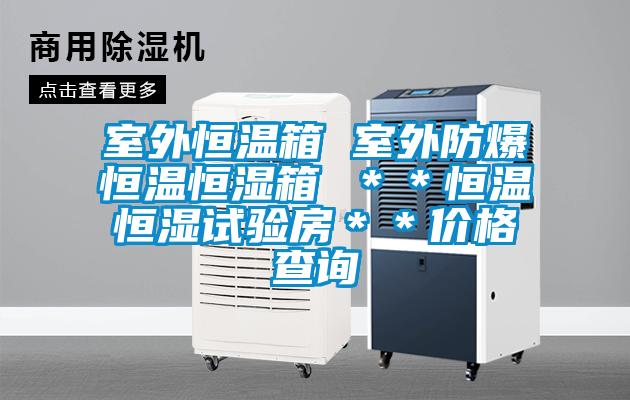 室外恒温箱 室外防爆恒温恒湿箱 ＊＊恒温恒湿试验房＊＊价格查询