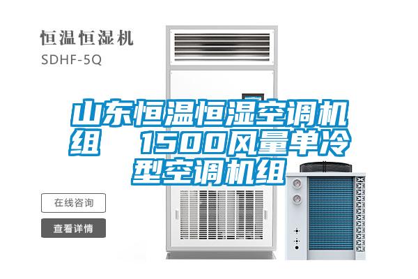 山东恒温恒湿空调机组  1500风量单冷型空调机组