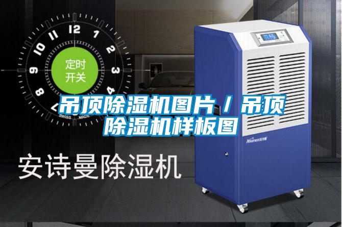 吊顶除湿机图片／吊顶除湿机样板图