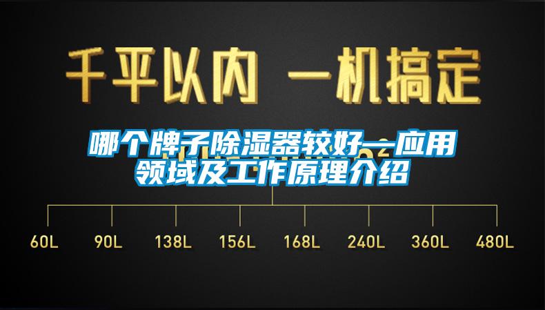 哪个牌子除湿器较好—应用领域及工作原理介绍