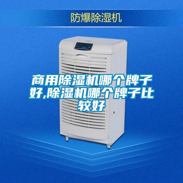 商用除湿机哪个牌子好,除湿机哪个牌子比较好