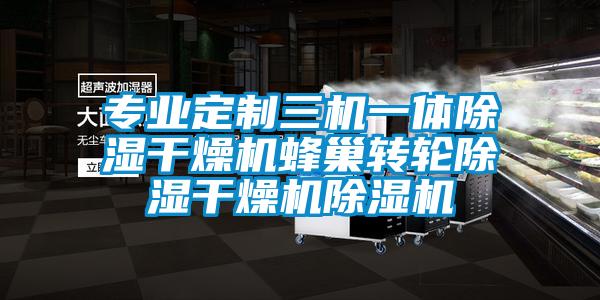 专业定制三机一体除湿干燥机蜂巢转轮除湿干燥机除湿机