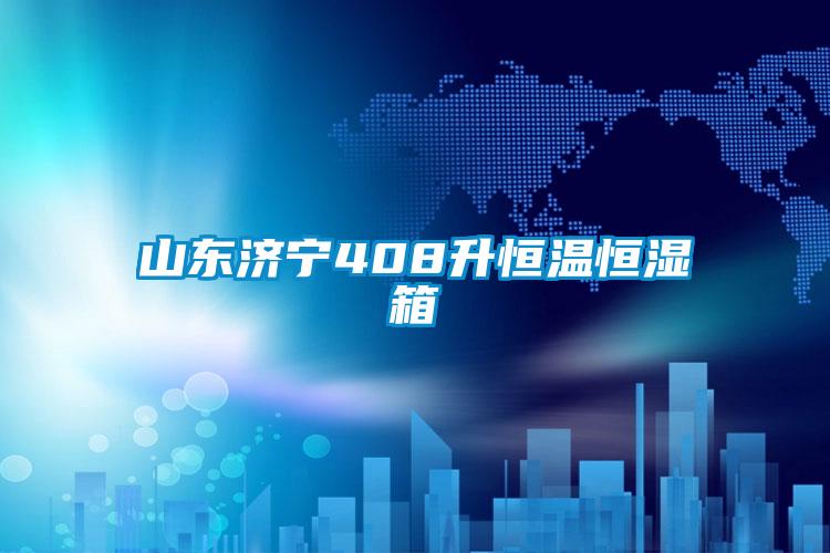 山东济宁408升恒温恒湿箱