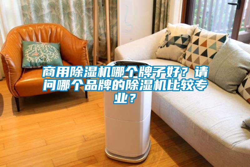 商用除湿机哪个牌子好？请问哪个品牌的除湿机比较专业？