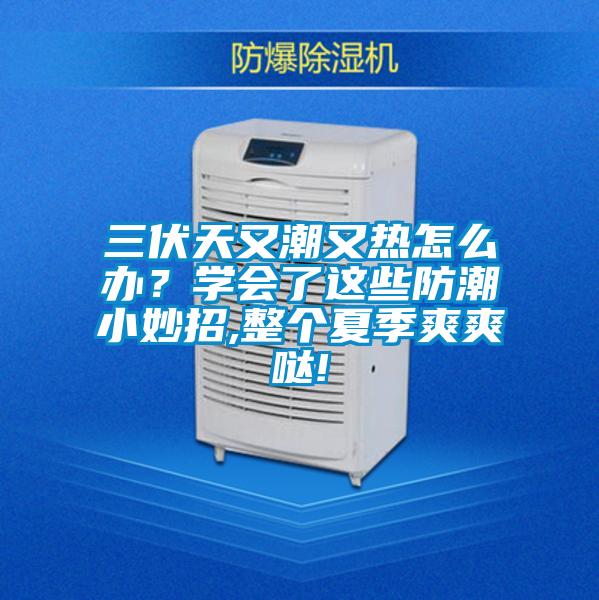 三伏天又潮又热怎么办？学会了这些防潮小妙招,整个夏季爽爽哒!