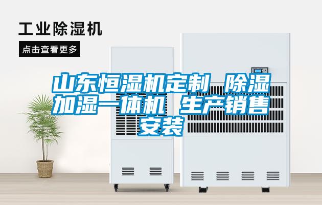 山东恒湿机定制 除湿加湿一体机 生产销售安装