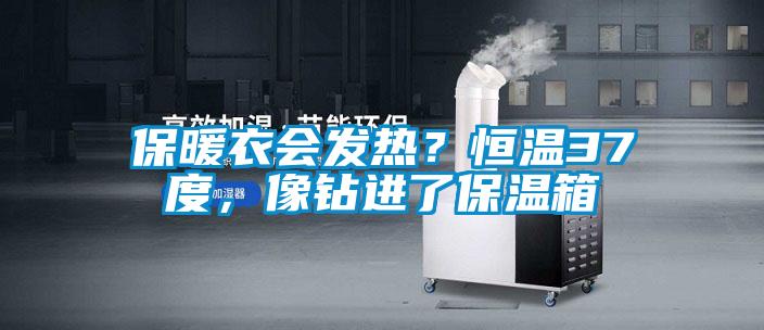 保暖衣会发热？恒温37度，像钻进了保温箱