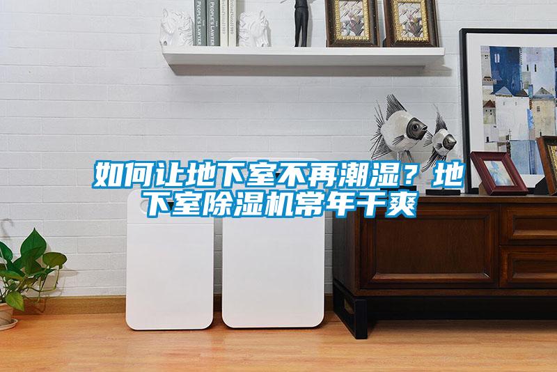 如何让地下室不再潮湿？地下室除湿机常年干爽