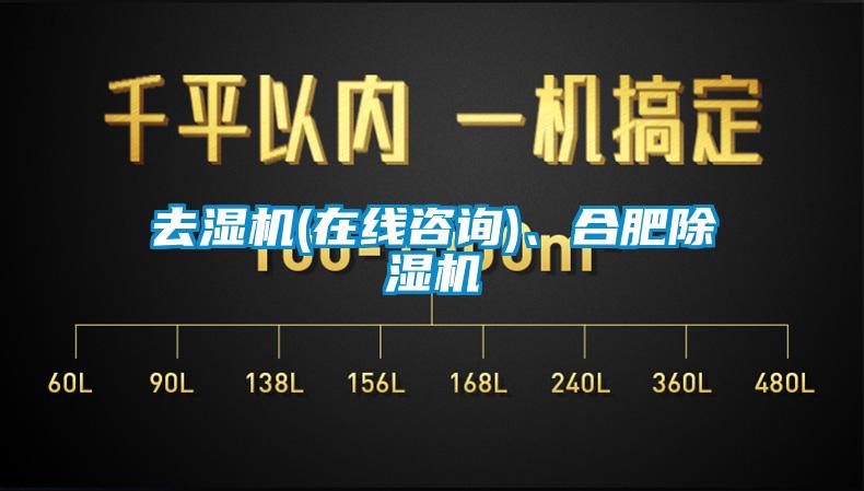 去湿机(在线咨询)、合肥除湿机