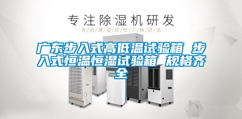 广东步入式高低温试验箱 步入式恒温恒湿试验箱 规格齐全